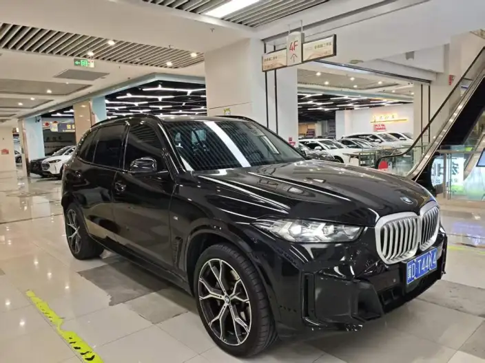 BMW X5 2023 Model xDrive30Li Exclusive Model M Sports Night Set – фото 3