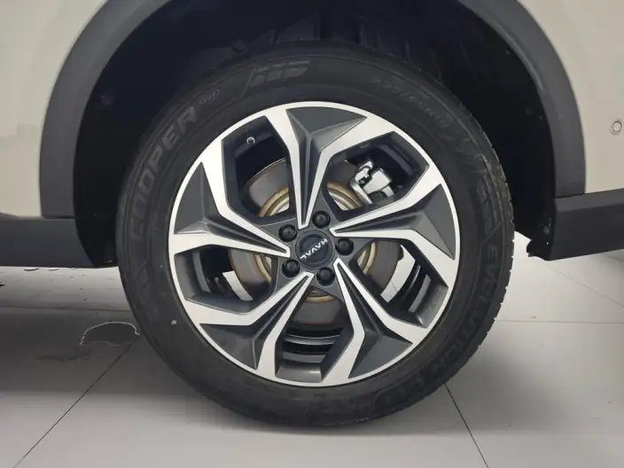Haval Xiaolong MAX 2025 Model 1.5L Hi4 165 Ultra Smart Driving Edition – фото 9