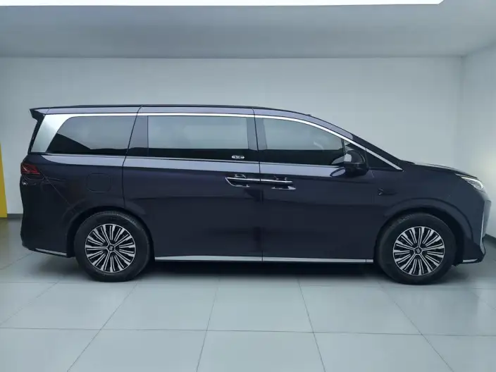 Xia 2026 Model DM-i 218KM Excellence Model – фото 8