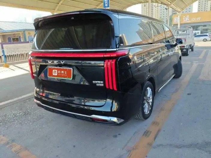 Wey Gaoshan P HEV 2023 Model 4WD Executive Extended Edition