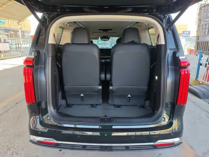 Wey Gaoshan P HEV 2023 Model 4WD Executive Extended Edition – фото 9