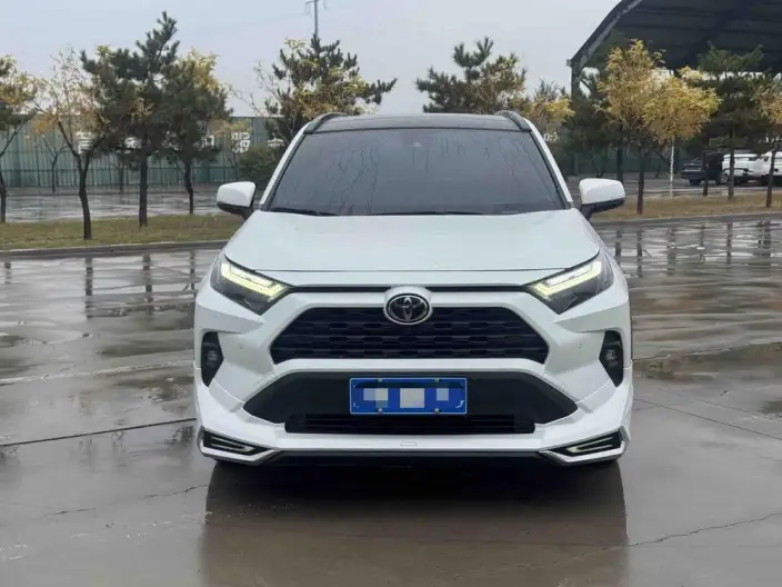 Toyota RAV4 2023 Model 2.0L CVT 2WD 20th Anniversary Platinum Memorial Edition