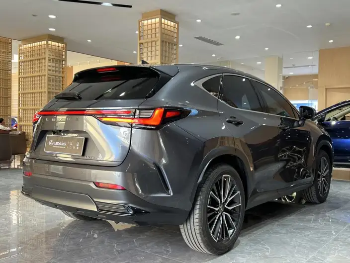 Lexus NX 2022 Model 350h Qian Drive Creative Edition – фото 6