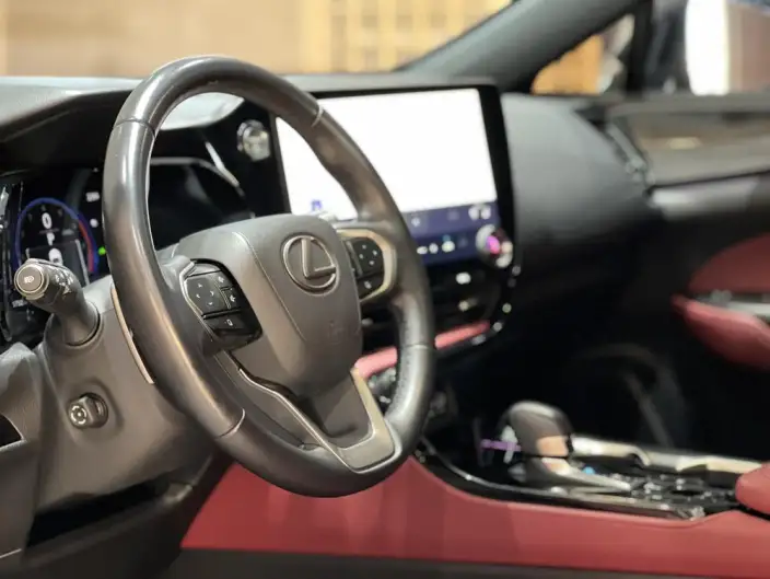 Lexus NX 2022 Model 350h Qian Drive Creative Edition – фото 10