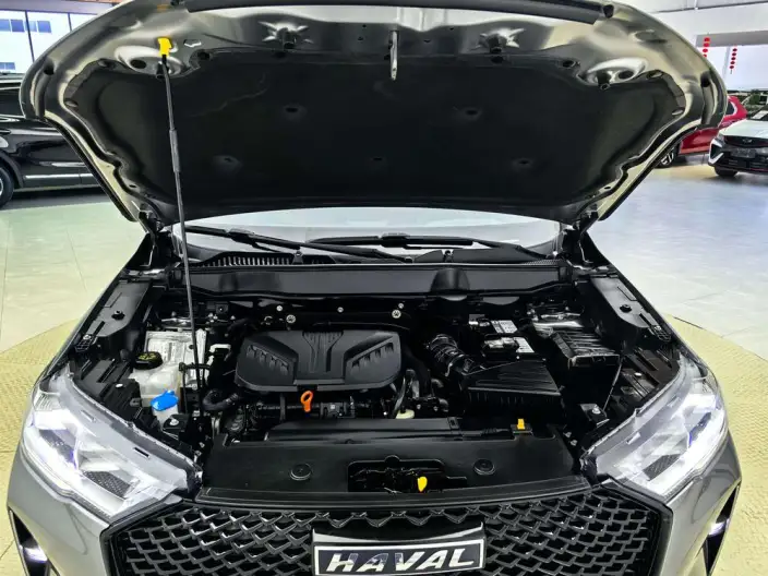 Haval H6 2021 Model Third generation 2.0T Automatic 2WD Max Edition – фото 10