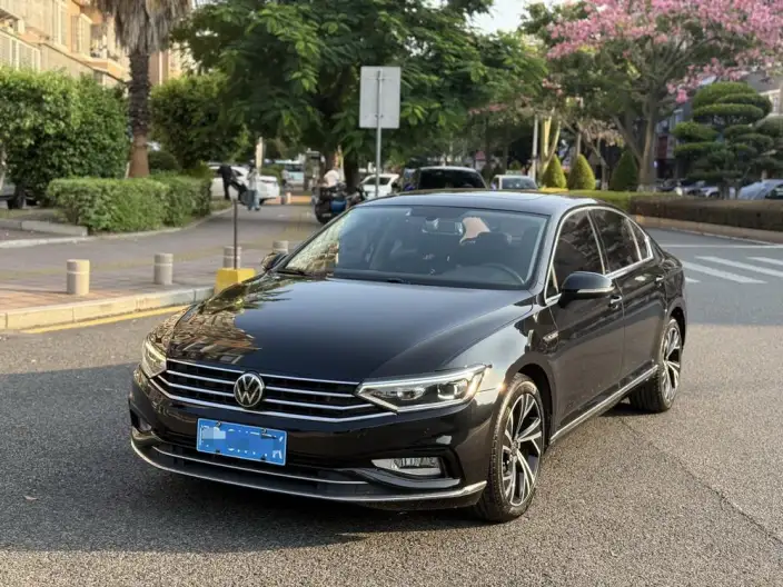 Volkswagen Magotan 2021 Model 330TSI DSG 30th Anniversary Memorial Edition