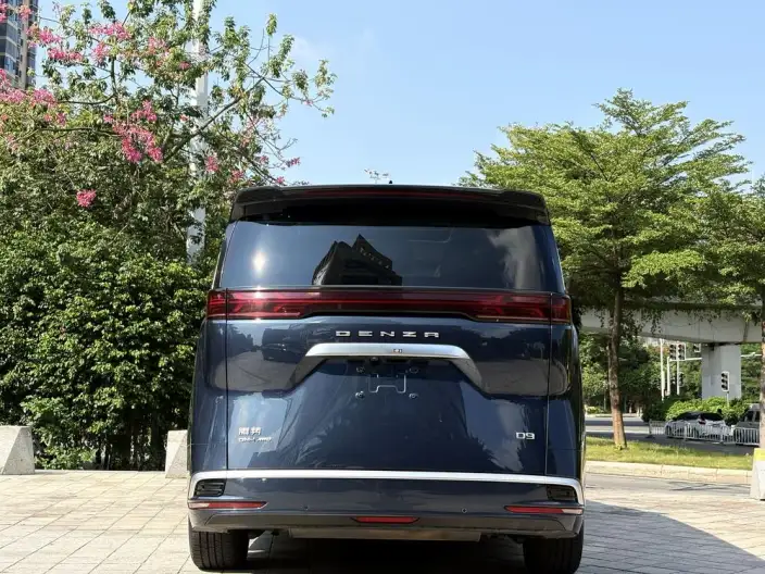DENZA D9 DM 2022 Model 970 4WD Zunrong Model