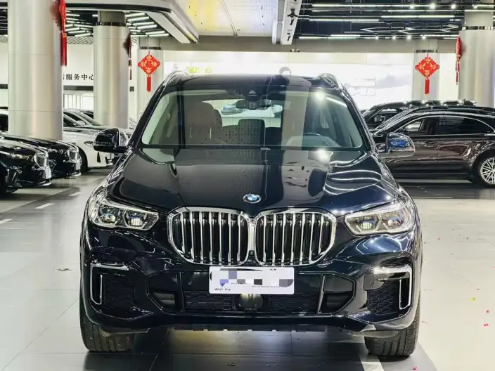 BMW X5 2022 Model xDrive 30Li Exclusive Model M Sports Set