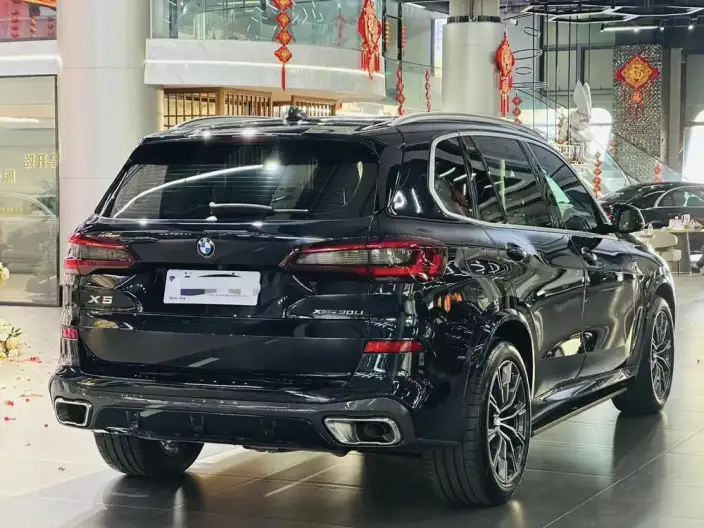 BMW X5 2022 Model xDrive 30Li Exclusive Model M Sports Set – фото 6