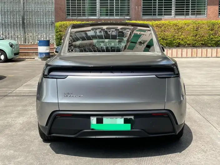 Model Y 2025 Model Long Battery Life Pro All-wheel drive version – фото 6