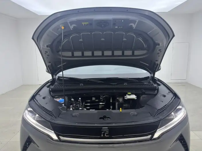 Yuan UP 2025 Model Smart Driving Edition 401KM Vitality Edition – фото 10