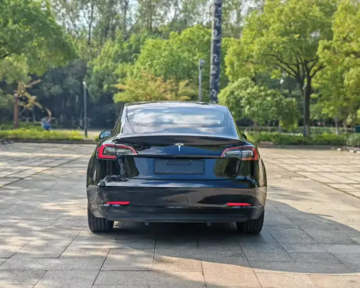 Model 3 2022 Model Rear-wheel drive version – фото 5
