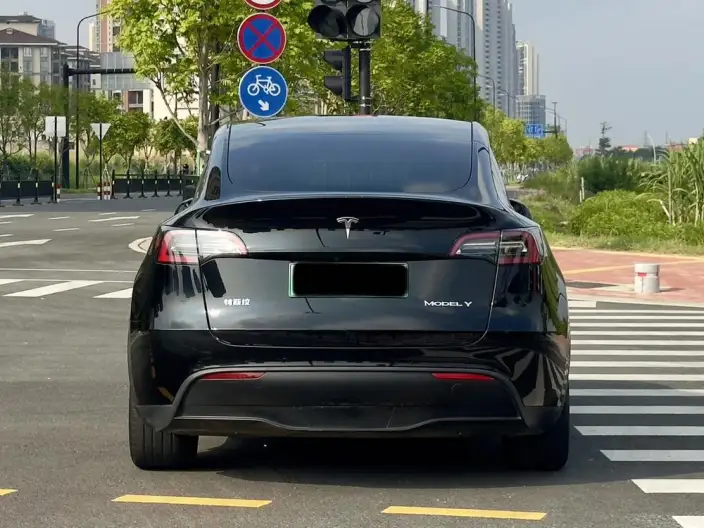 Model Y 2023 Model Rear-wheel drive version – фото 5