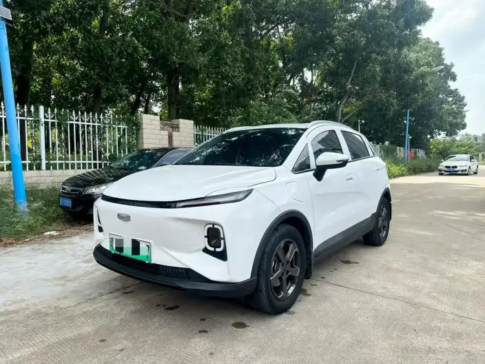 Geely Geometry E Firefly 2024 Model 301KM Xingguang – фото 1