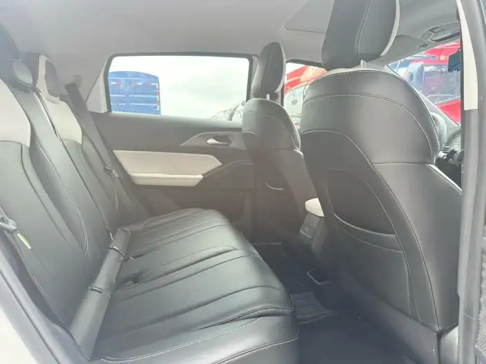 Geely Geometry E Firefly 2024 Model 301KM Xingguang – фото 9