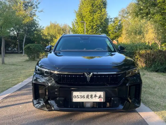 VOYAH FREE 2024 Model Ultra-long Endurance Smart Driving Edition