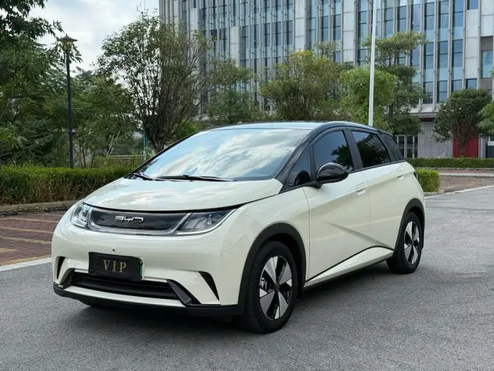 BYD Dolphin 2023 Model Fashion Edition