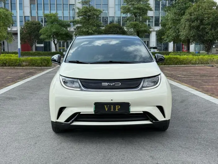 BYD Dolphin 2023 Model Fashion Edition