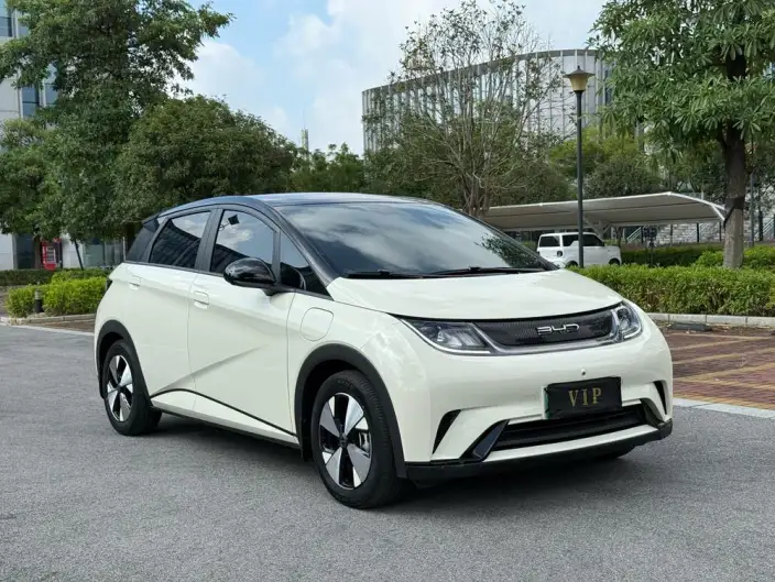 BYD Dolphin 2023 Model Fashion Edition