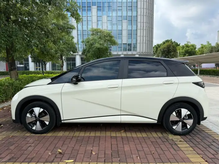 BYD Dolphin 2023 Model Fashion Edition