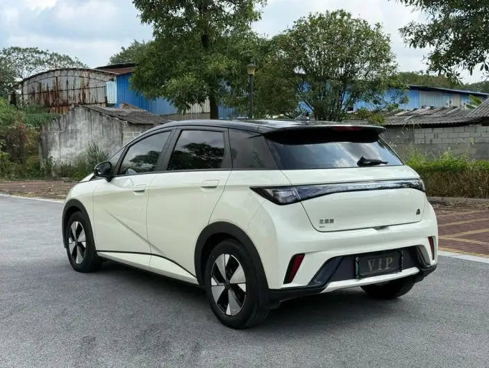 BYD Dolphin 2023 Model Fashion Edition – фото 5