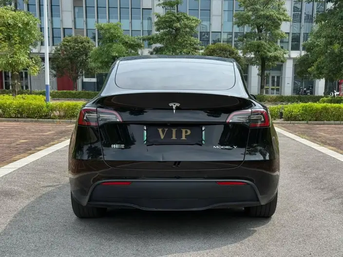 Model Y 2023 Model Rear-wheel drive version – фото 6