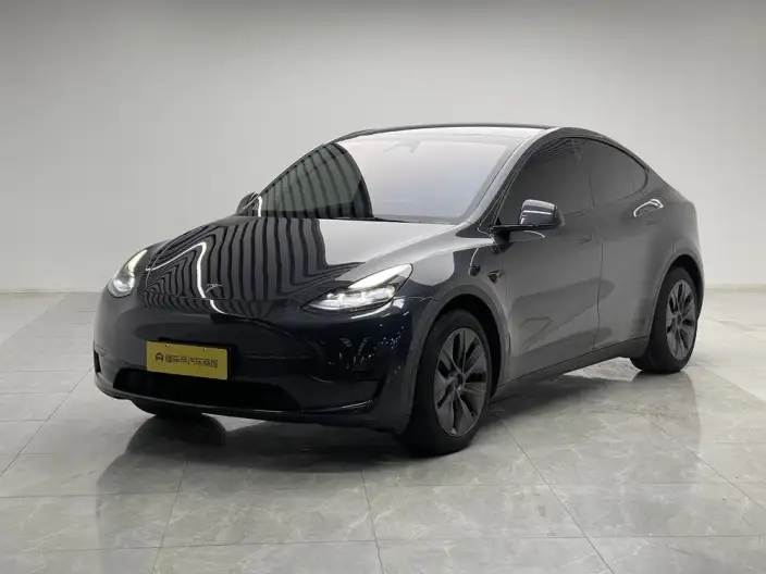 Model Y 2024 Model Rear-wheel drive version – фото 1