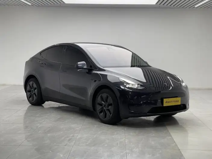 Model Y 2024 Model Rear-wheel drive version – фото 3