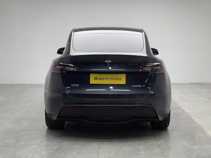 Model Y 2024 Model Rear-wheel drive version – фото 6