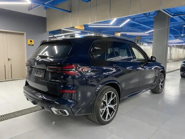 BMW X5 2026 Model xDrive30Li Exclusive Model M Sports Night Set – фото 5