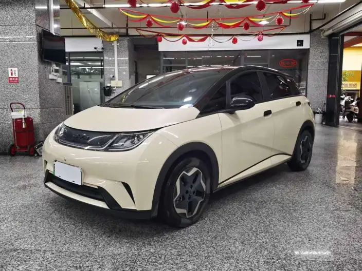 BYD Dolphin 2021 Model Fashion Edition – фото 1
