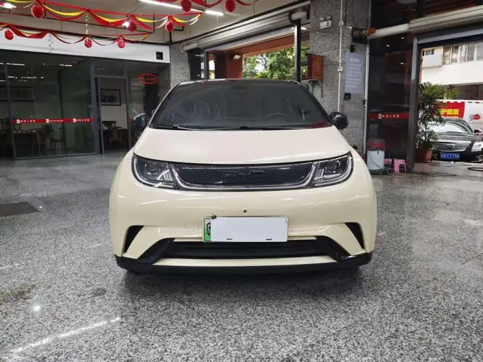 BYD Dolphin 2021 Model Fashion Edition – фото 2