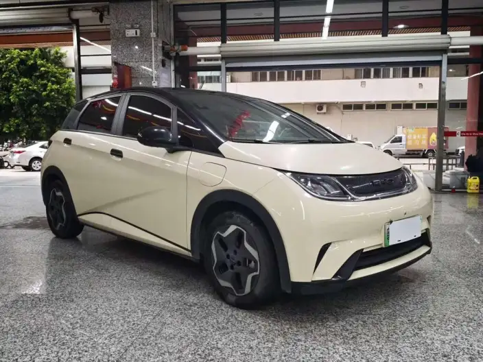 BYD Dolphin 2021 Model Fashion Edition – фото 3
