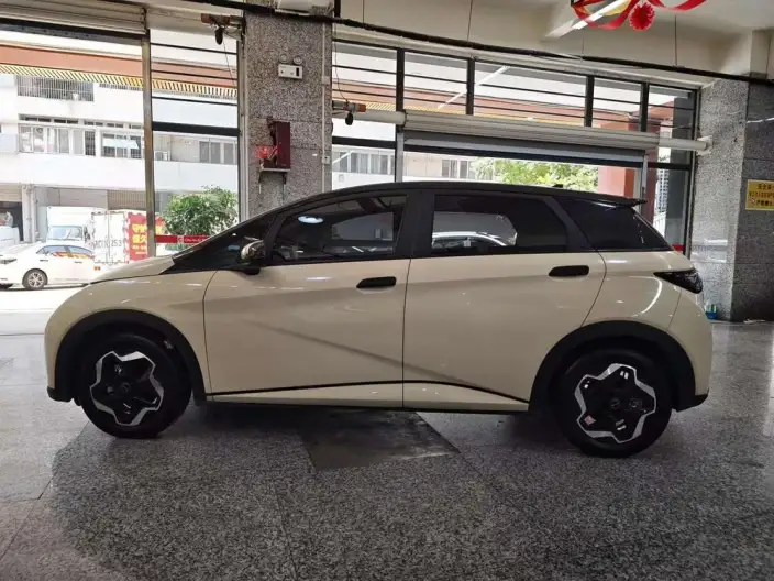 BYD Dolphin 2021 Model Fashion Edition – фото 4