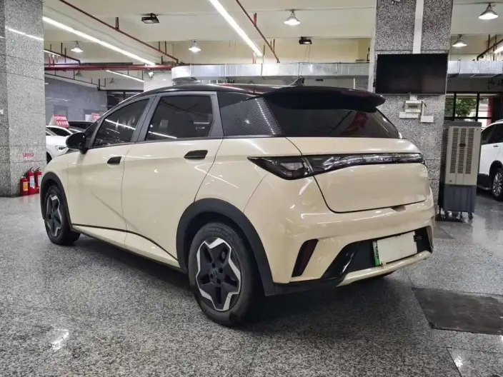 BYD Dolphin 2021 Model Fashion Edition – фото 5