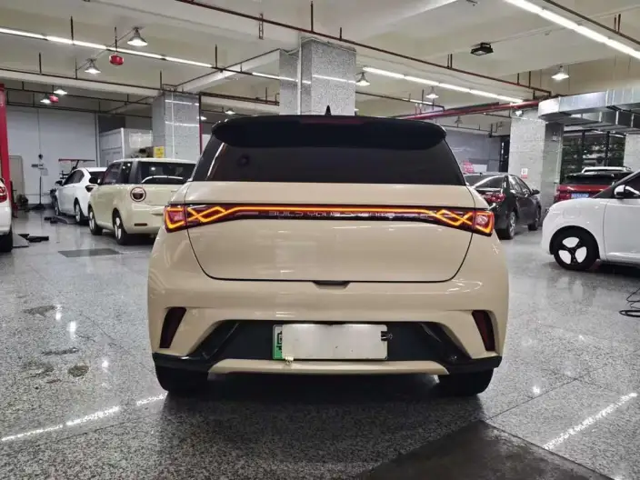 BYD Dolphin 2021 Model Fashion Edition – фото 6