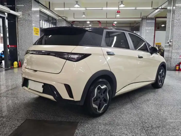 BYD Dolphin 2021 Model Fashion Edition – фото 7