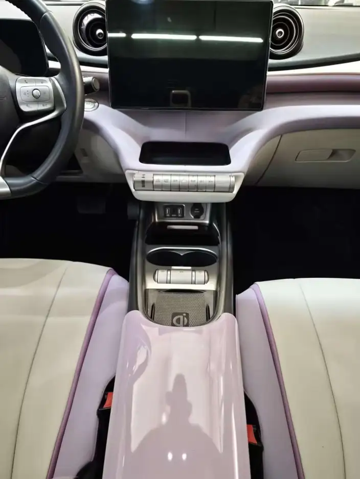 BYD Dolphin 2021 Model Fashion Edition – фото 8