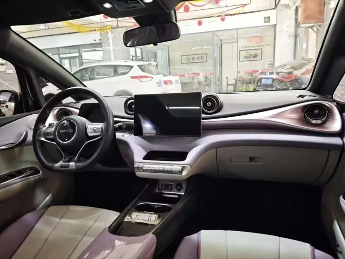 BYD Dolphin 2021 Model Fashion Edition – фото 9