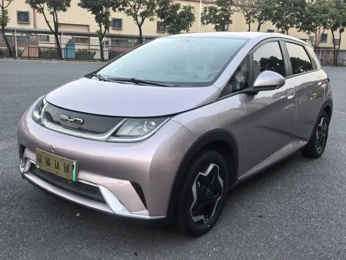 BYD Dolphin 2021 Model Free Edition – фото 1