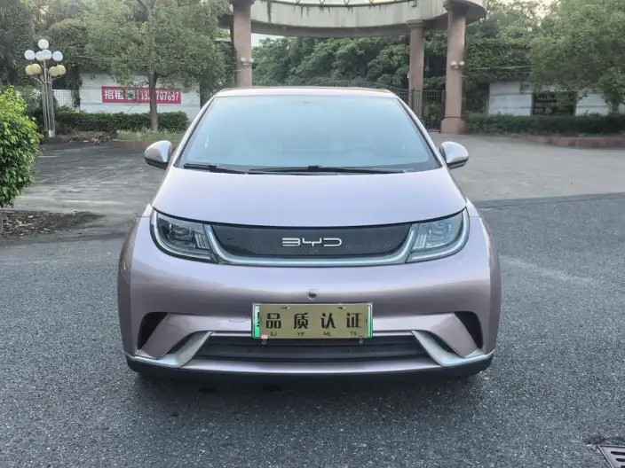 BYD Dolphin 2021 Model Free Edition – фото 2