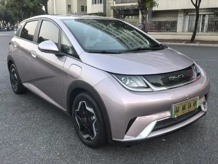 BYD Dolphin 2021 Model Free Edition – фото 3