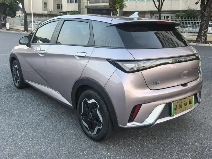 BYD Dolphin 2021 Model Free Edition – фото 4
