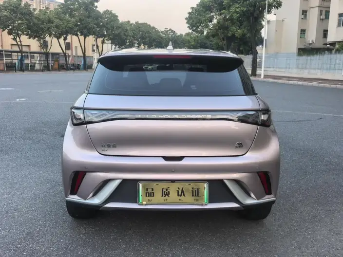 BYD Dolphin 2021 Model Free Edition – фото 5