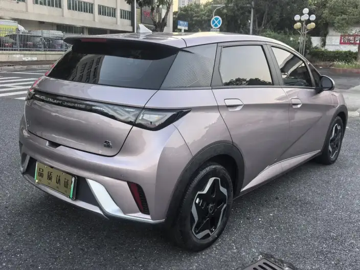 BYD Dolphin 2021 Model Free Edition – фото 6
