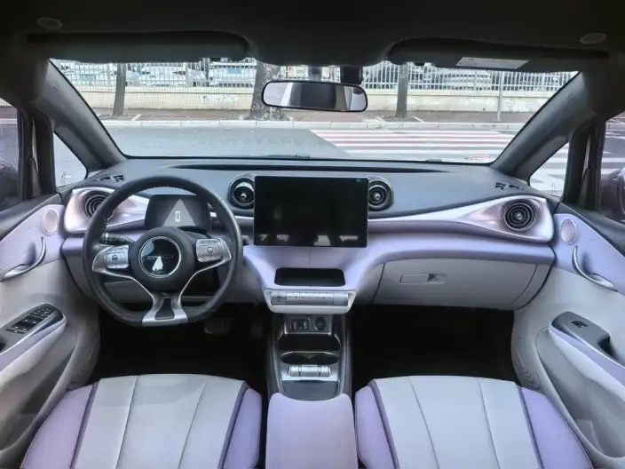 BYD Dolphin 2021 Model Free Edition – фото 7