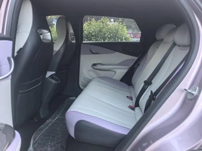 BYD Dolphin 2021 Model Free Edition – фото 9