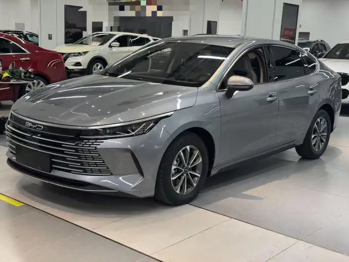 BYD Destroyer 05 2024 Model Honor Edition DM-i 55KM Luxury Model – фото 1