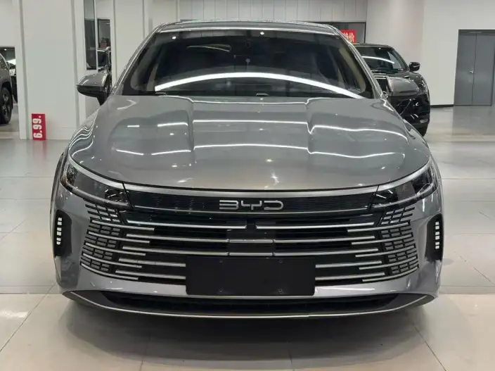 BYD Destroyer 05 2024 Model Honor Edition DM-i 55KM Luxury Model – фото 2