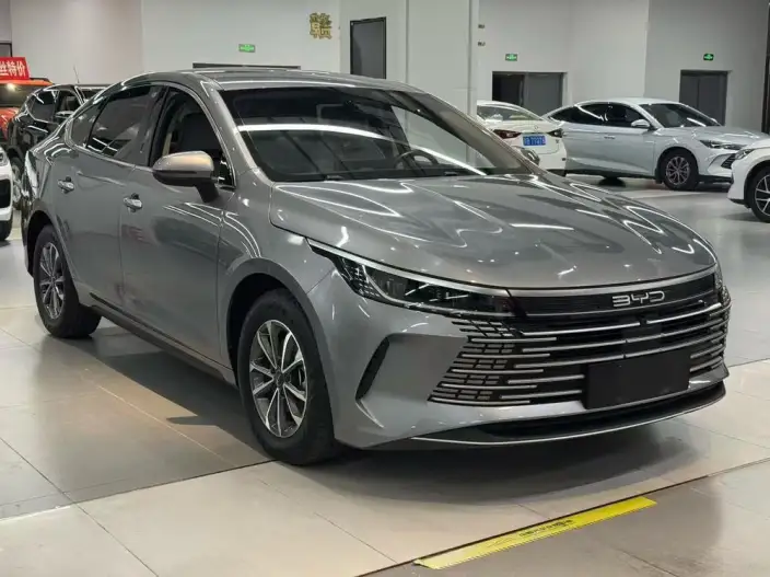 BYD Destroyer 05 2024 Model Honor Edition DM-i 55KM Luxury Model – фото 3